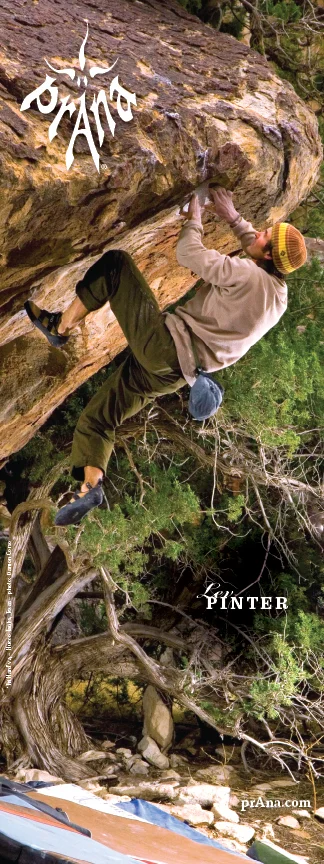 Prana Ad - Lev Pinter .jpg