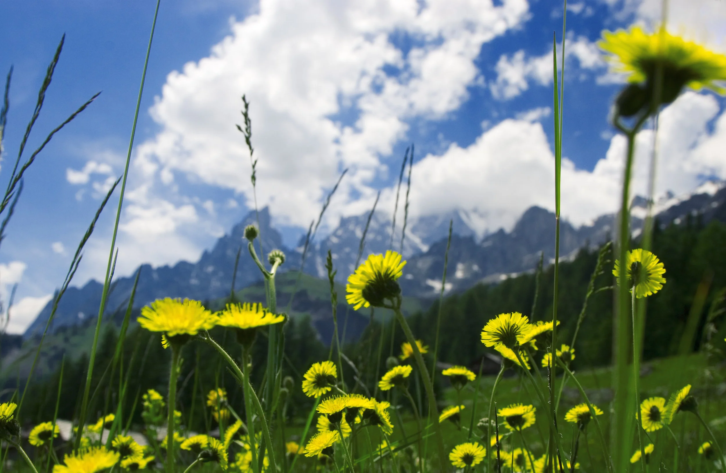 Monte Bianco 1.jpg