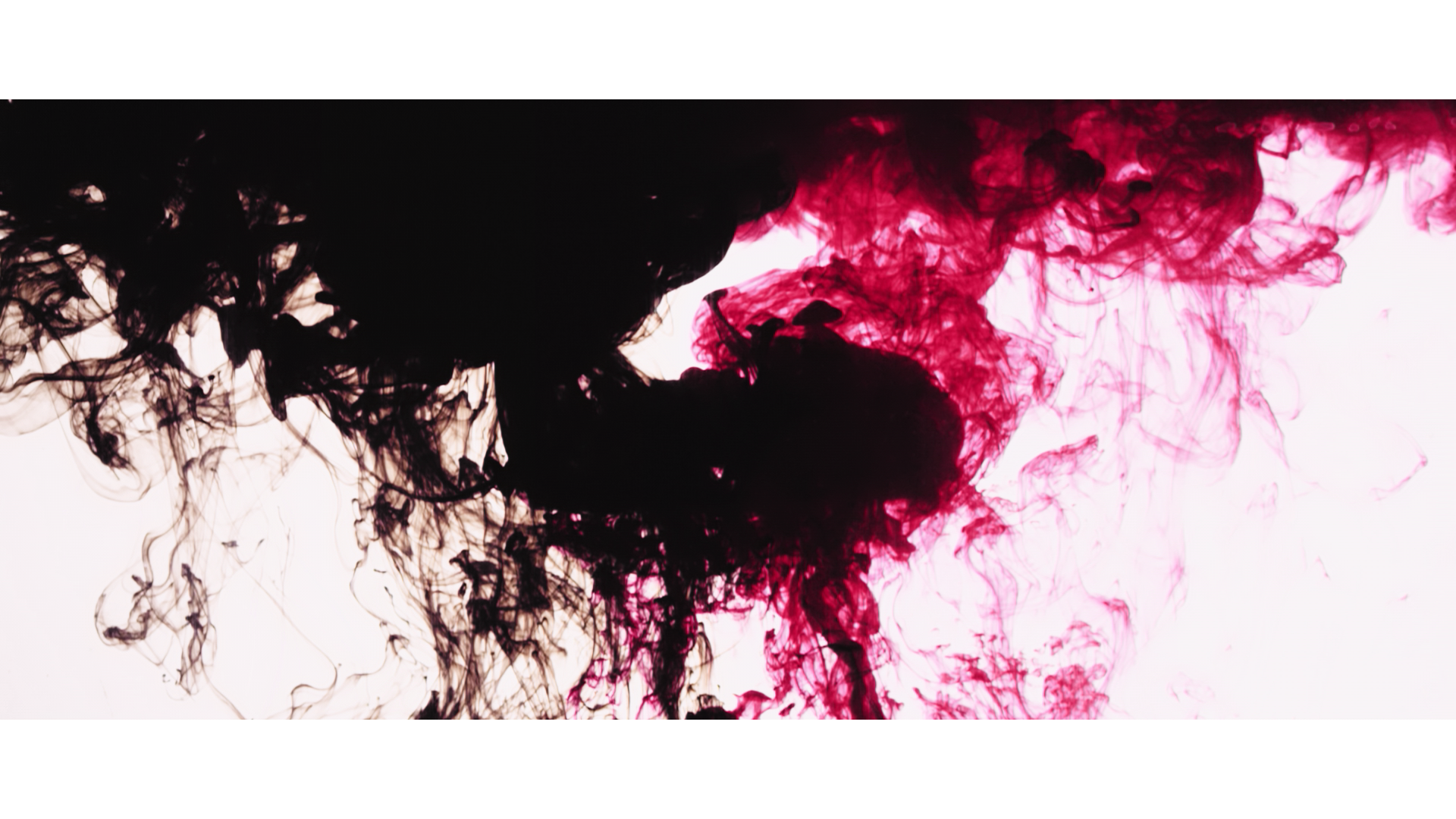 Snapshot - 3.png