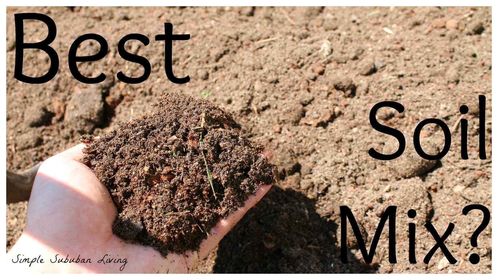 Best Soil Mix 1.jpg