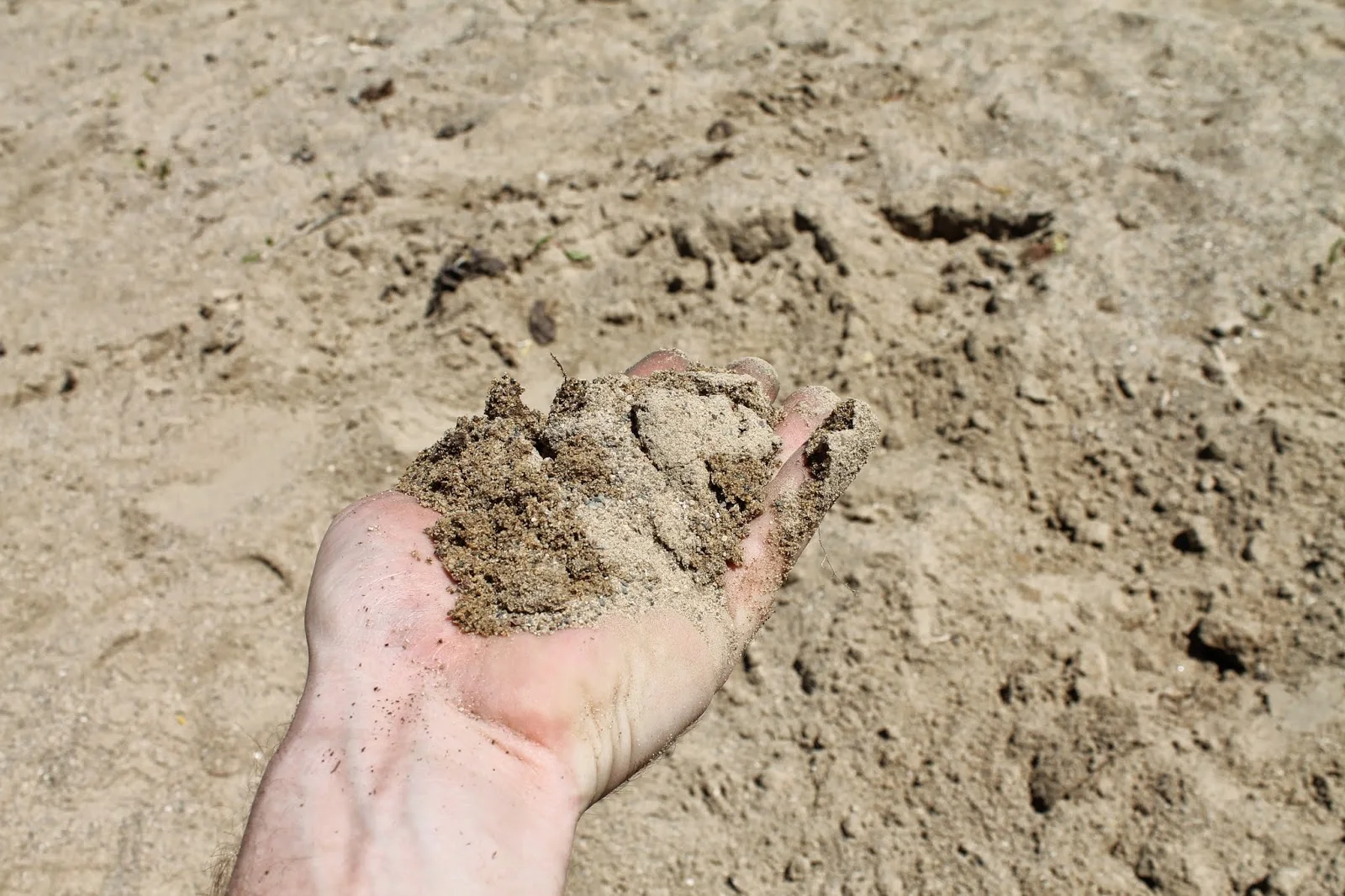 Best Soil Mix 4.jpg