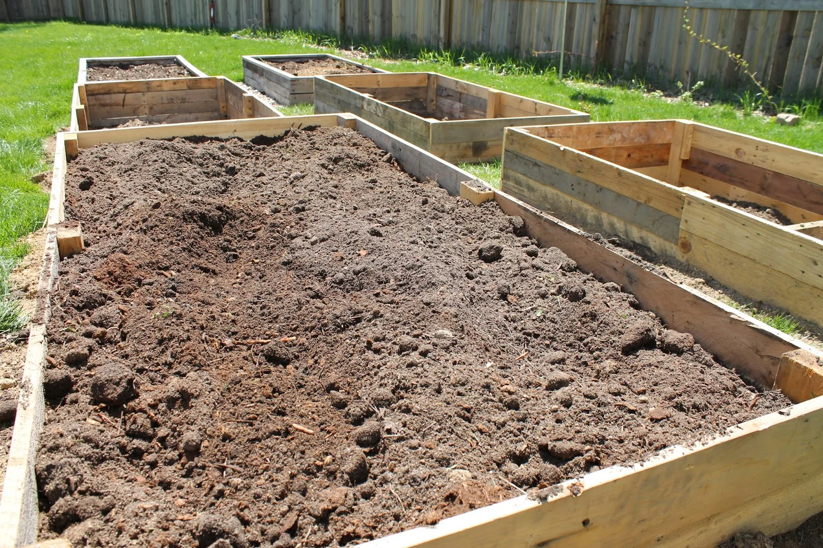 Best Soil Mix 5.jpg