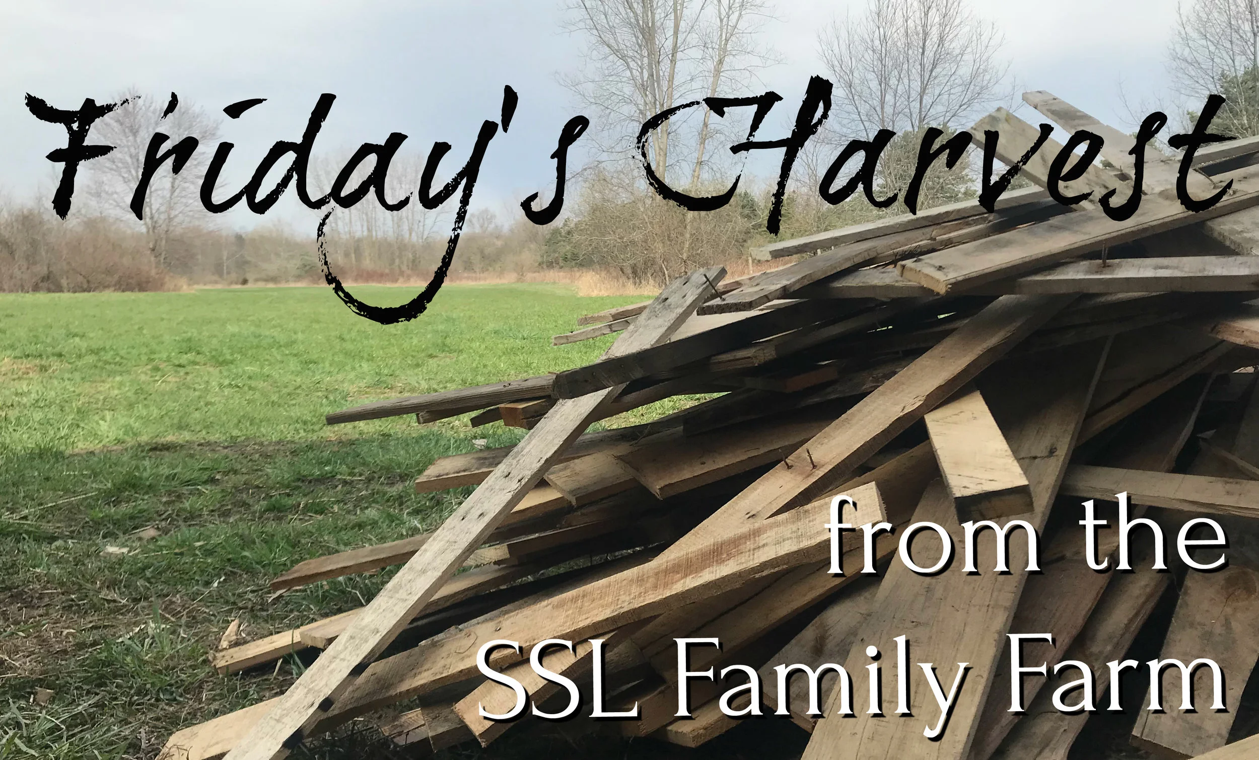 Fridays Harvest Pallets.jpg