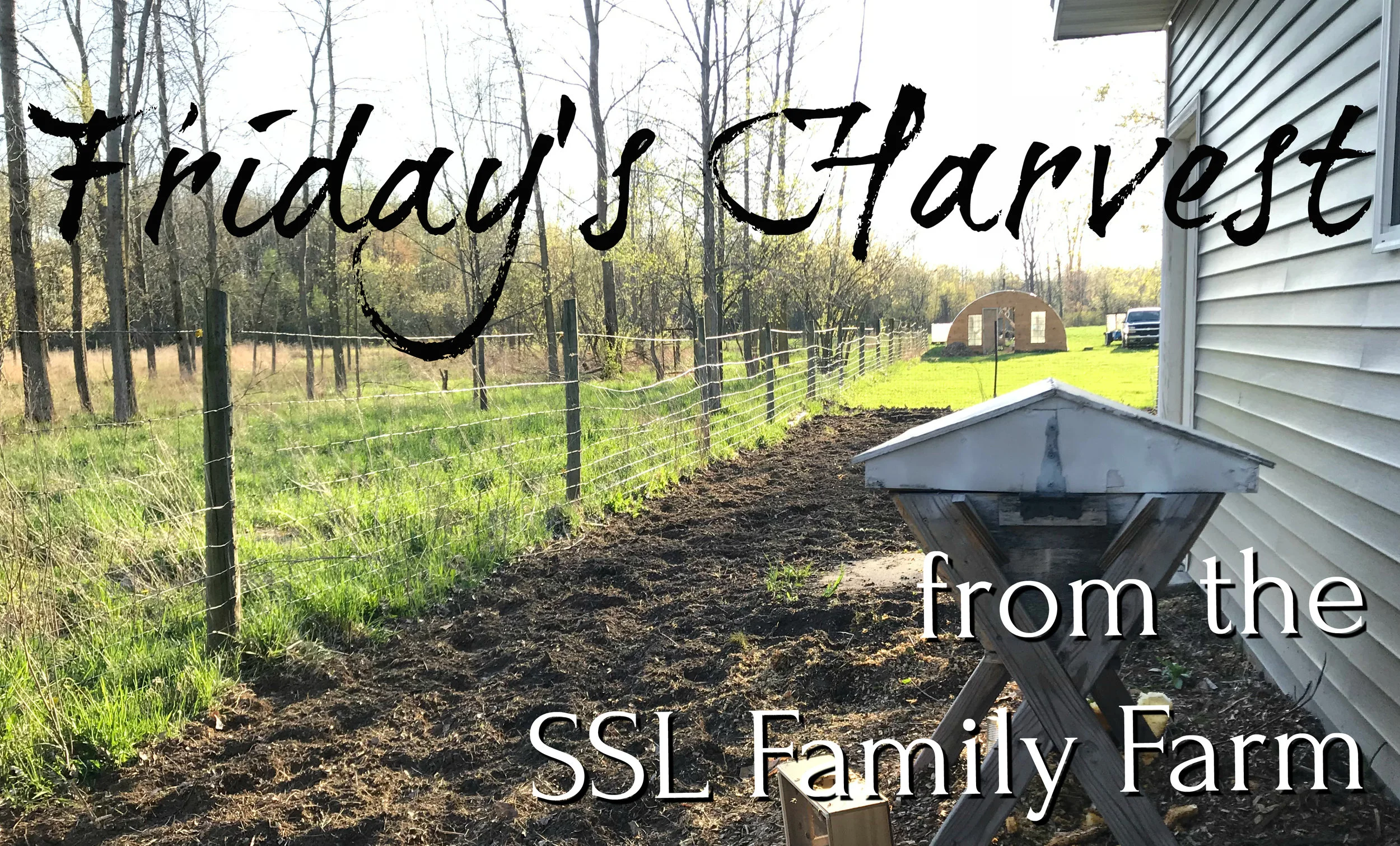 Fridays Harvest 051118 Thumbnail.jpg