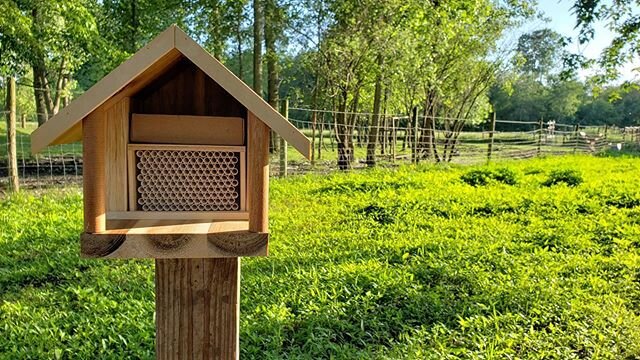 We found some &ldquo;kind&rdquo; bees to pollinate our gardens!🐝 Excited about the addition of leaf cutter bees to our farm. There are many benefits of leaf cutter bees, they are non-aggressive, solitary (no colony to defend), they need no extra equ