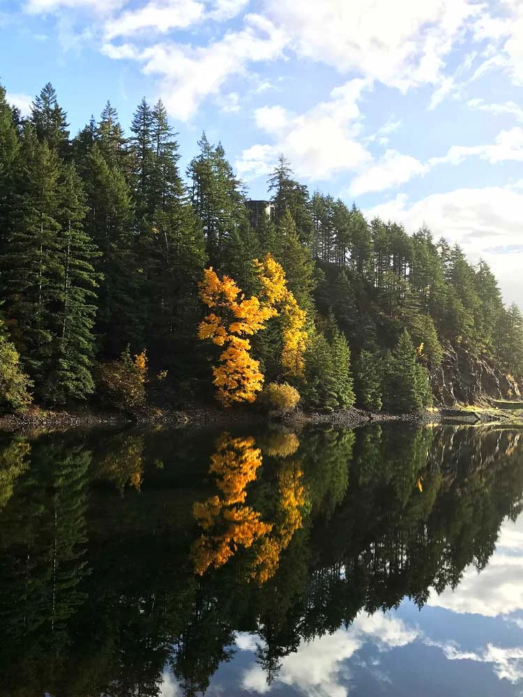 LISECC Reservoir