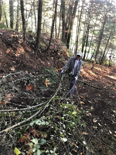 removing brush from the trail