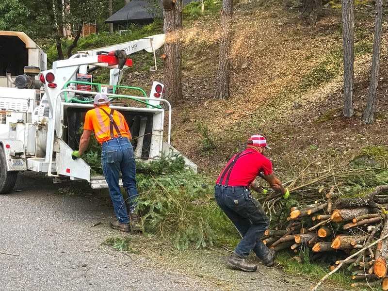 Wildfire Prep Day is a success!