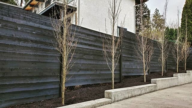 Natures gold and a some new trees really makes this fence pop!
.
.
.#formation #fence #and #deck #cedar #wood #woodwork #fencing #kelowna #finishcarpentry #carpentry #horizontal #fencebuilding