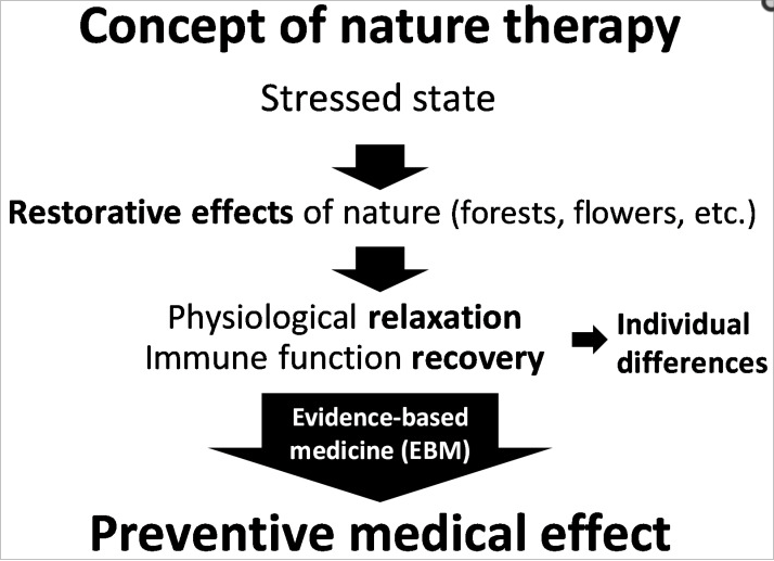 adapted from: https://www.ncbi.nlm.nih.gov/pmc/articles/PMC4997467/