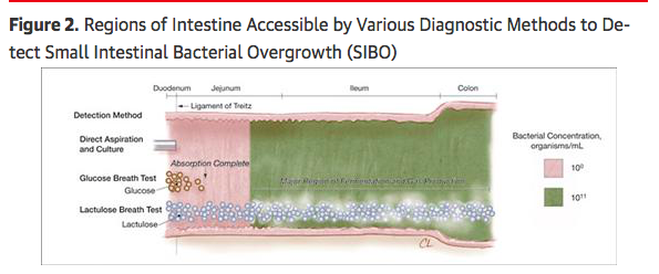 Adapted from JAMA