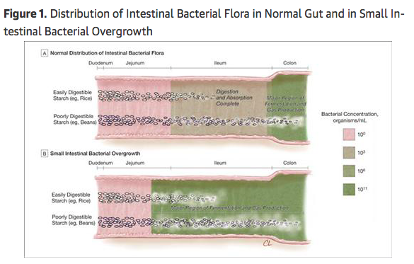 Adapted from JAMA