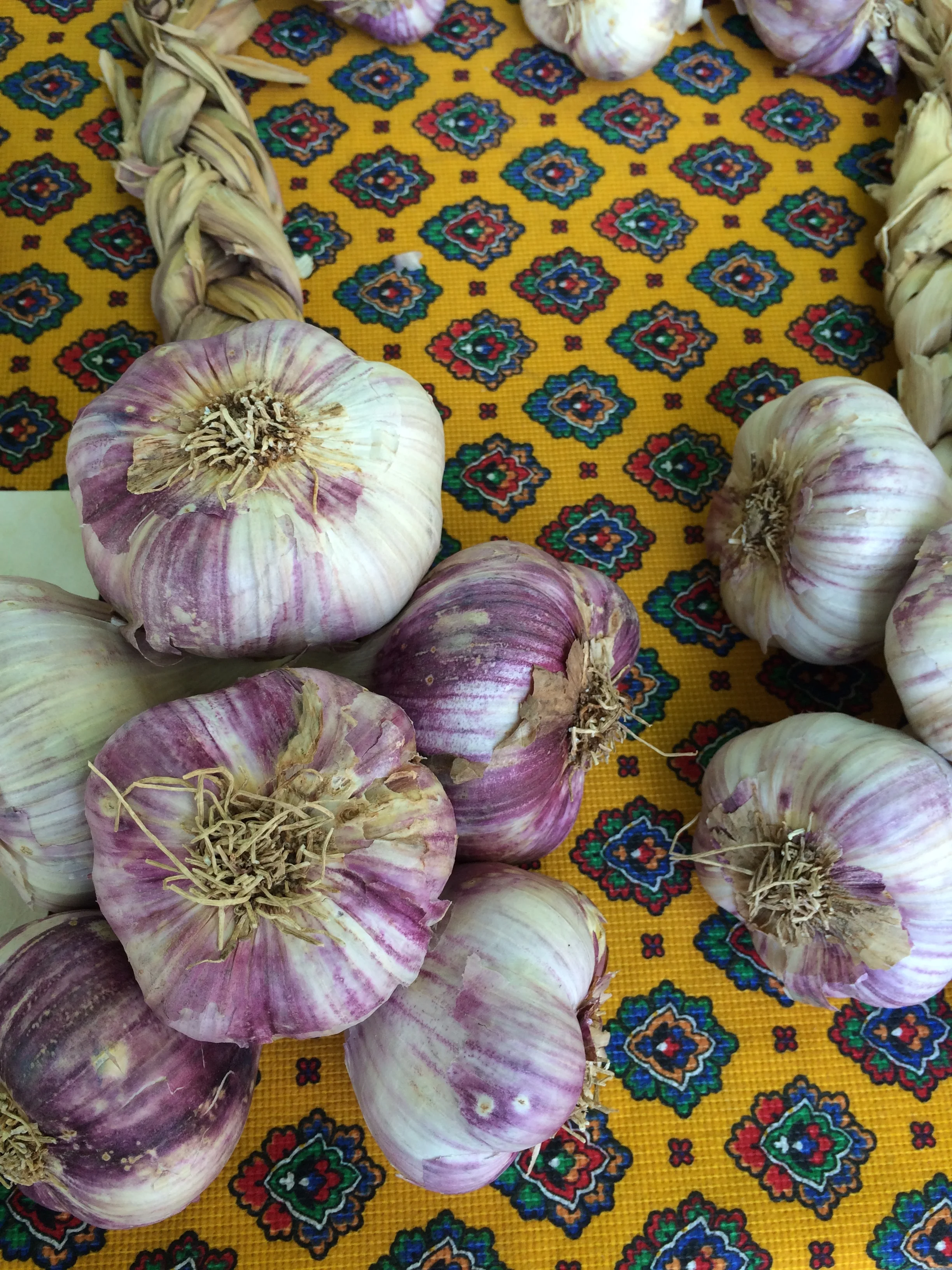 garlic.jpg
