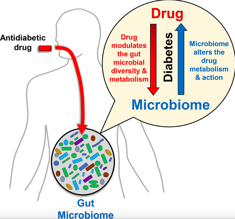 Микробиомная технология с селеном. Микробиом и заболевания. Микробиом человека. Биохимия микробиома. Микробиом кожи.