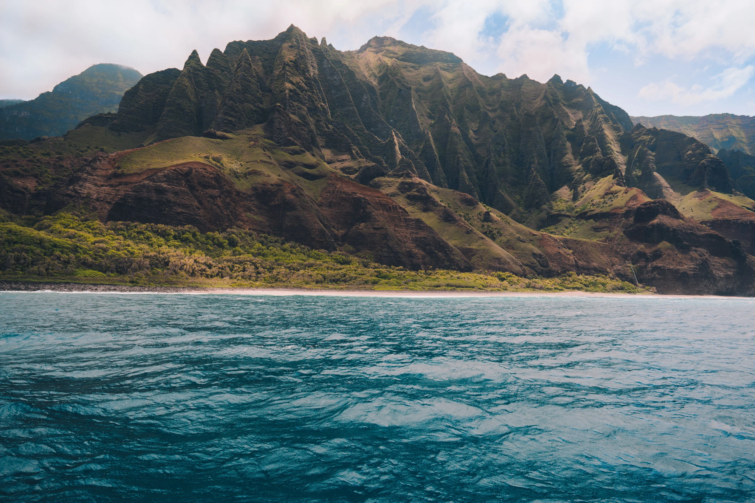 Nepali Cat selects (5 of 11).jpg