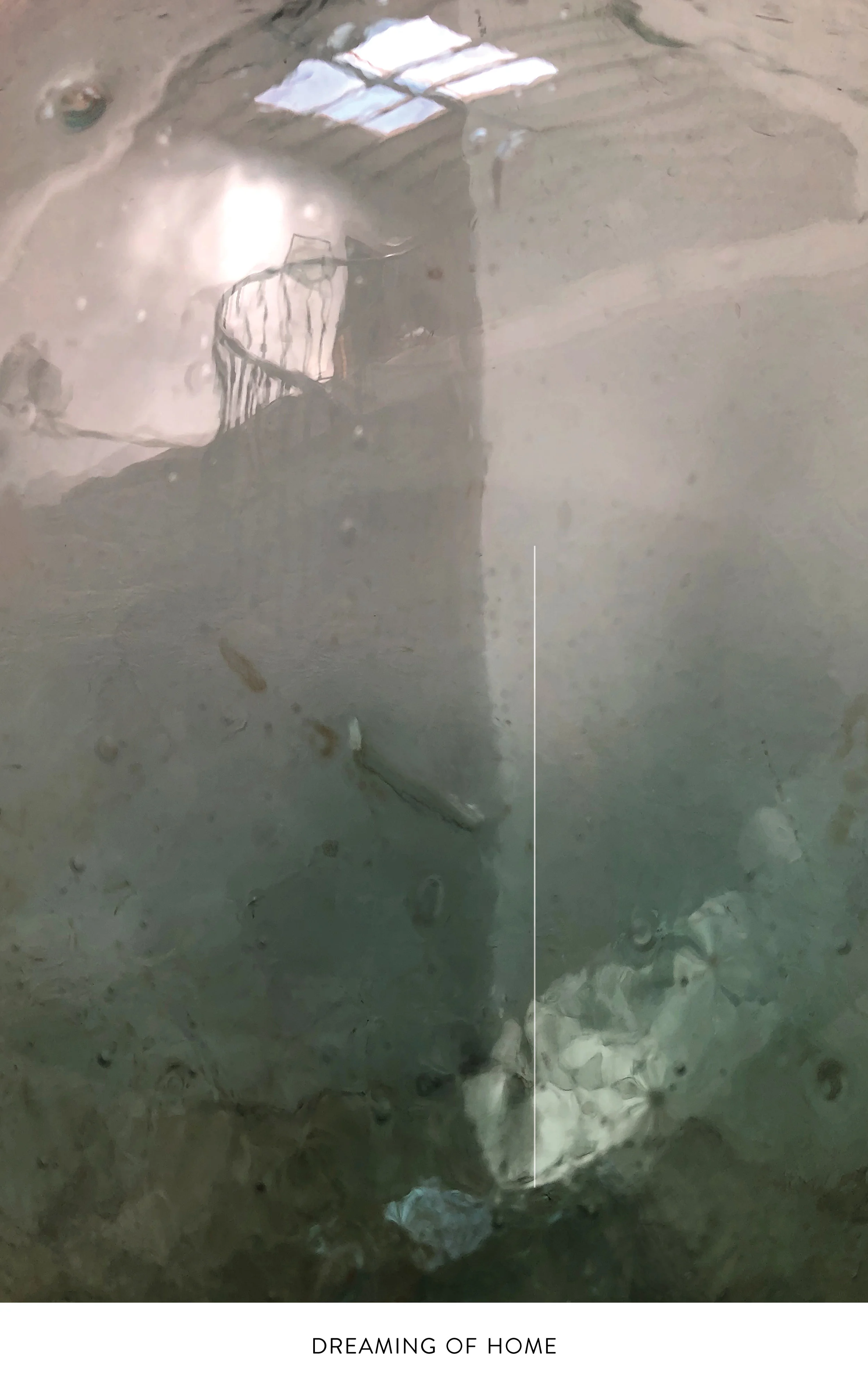 DREAMING WEB TITLE .jpg