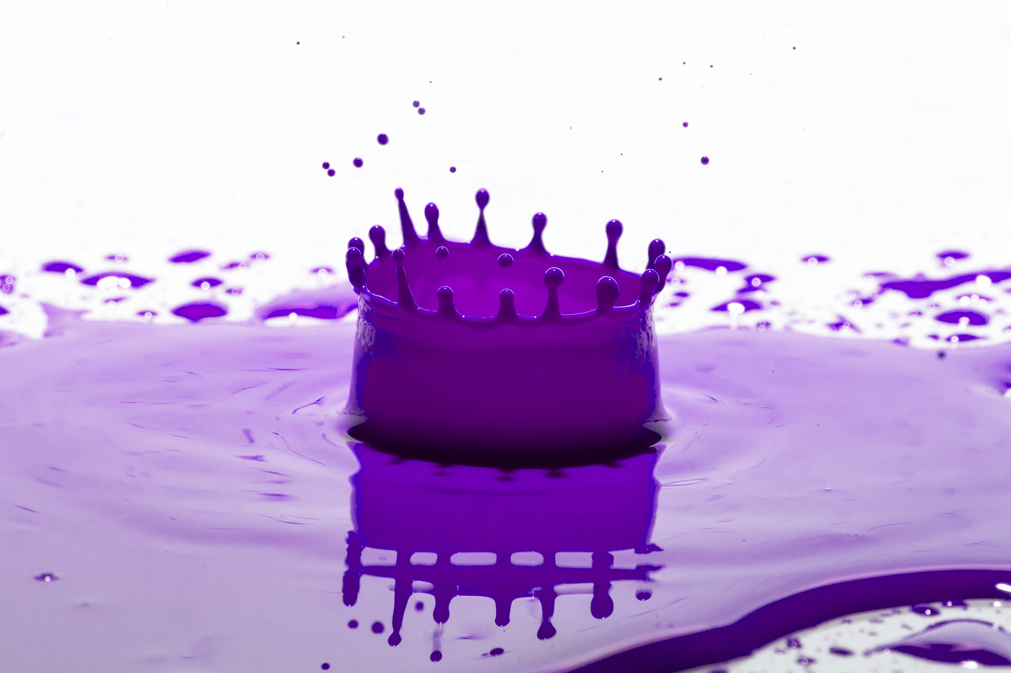 Purpe Splash.jpg