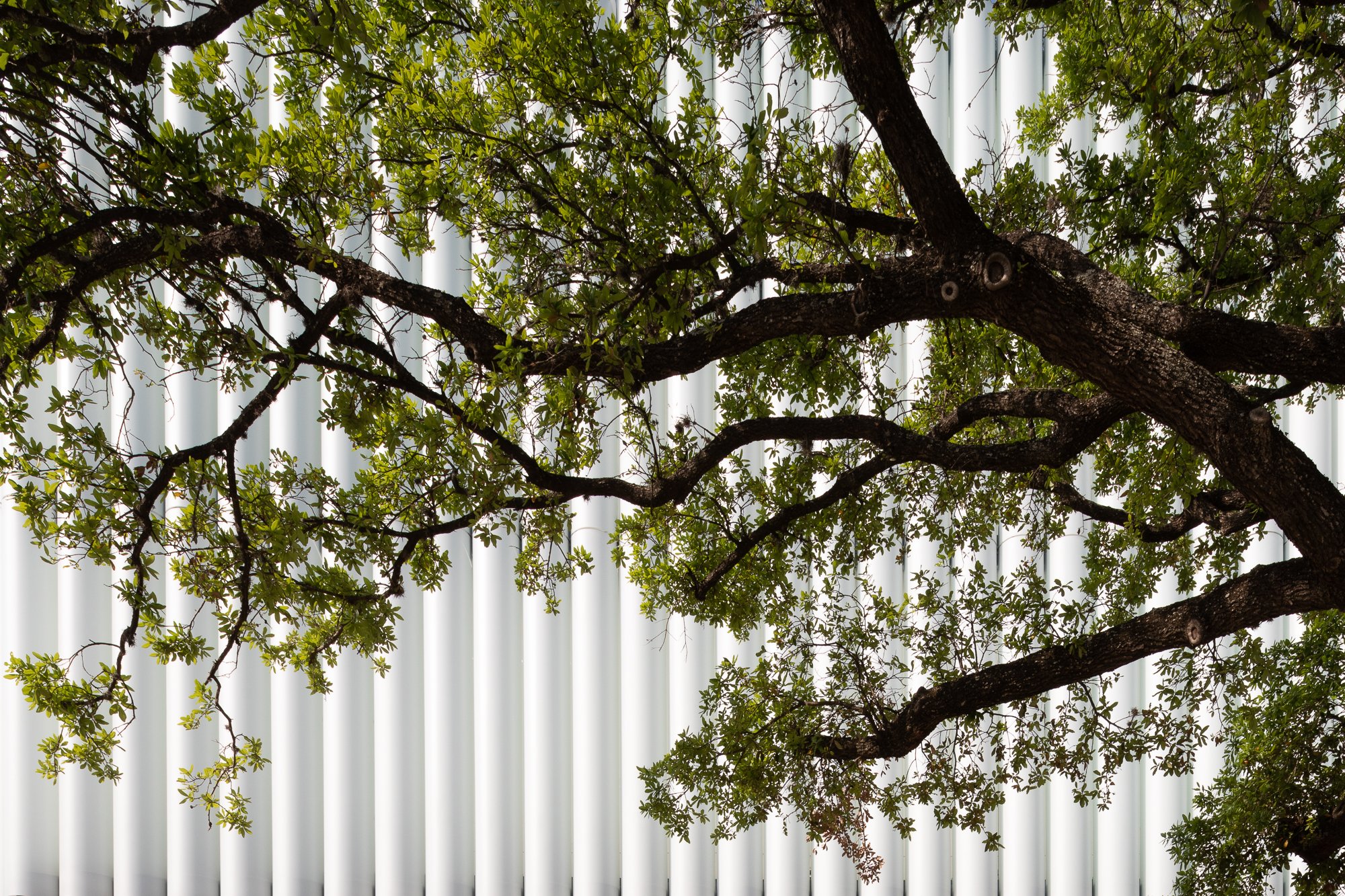 MFAH Nancy and Rich Kinder Building