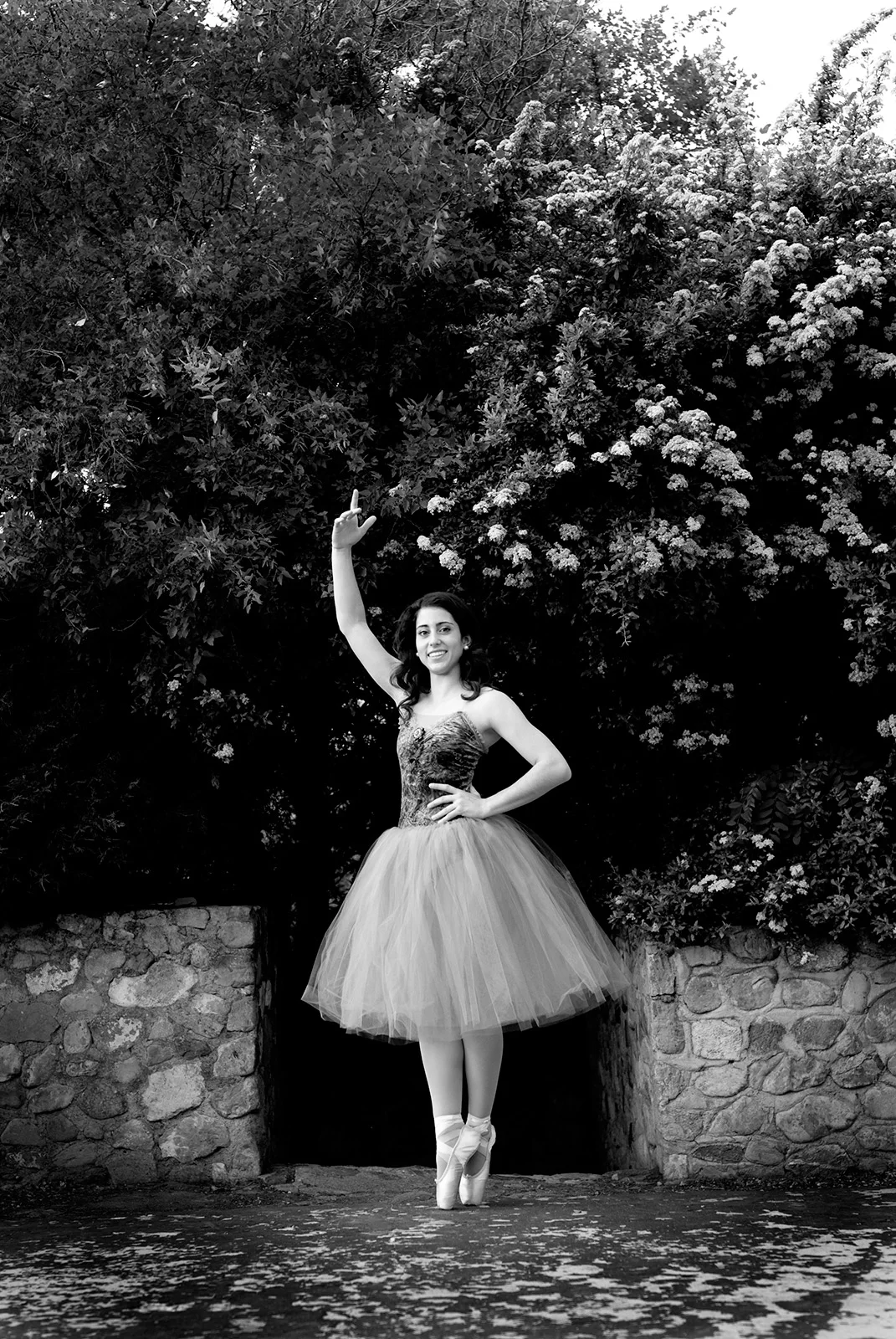 DSC_3255bw.jpg