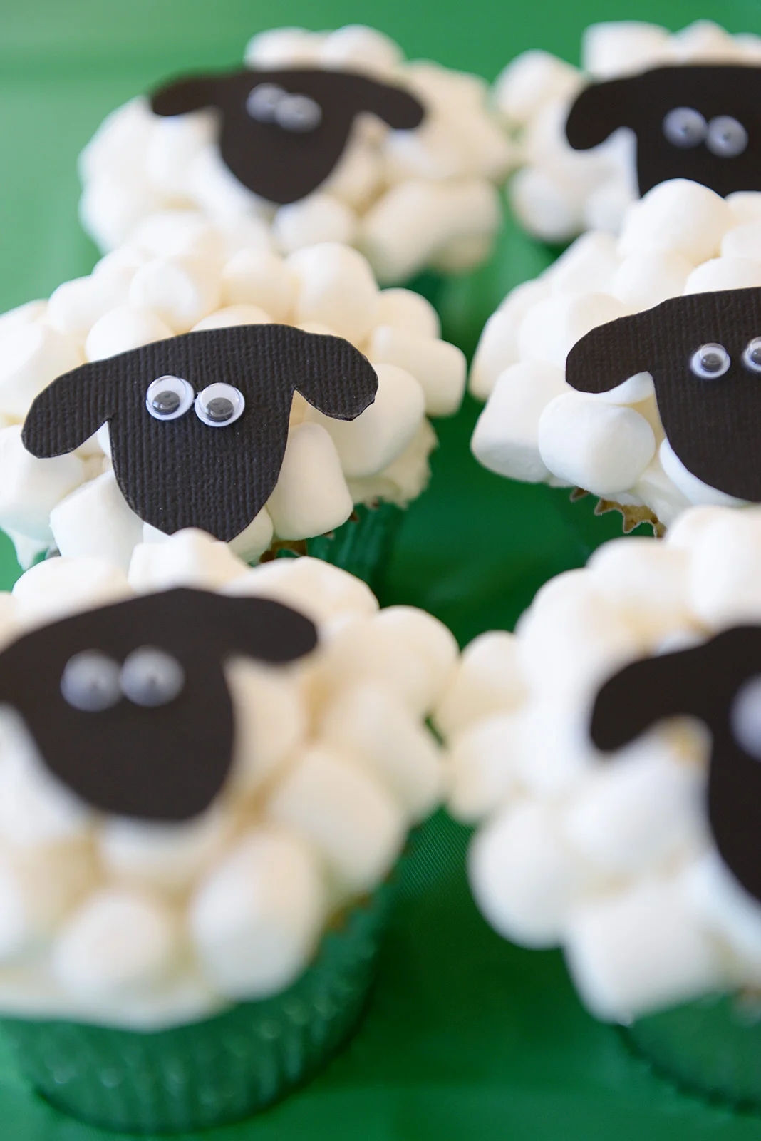 Baa! These sheep look like they are up to no good ...
