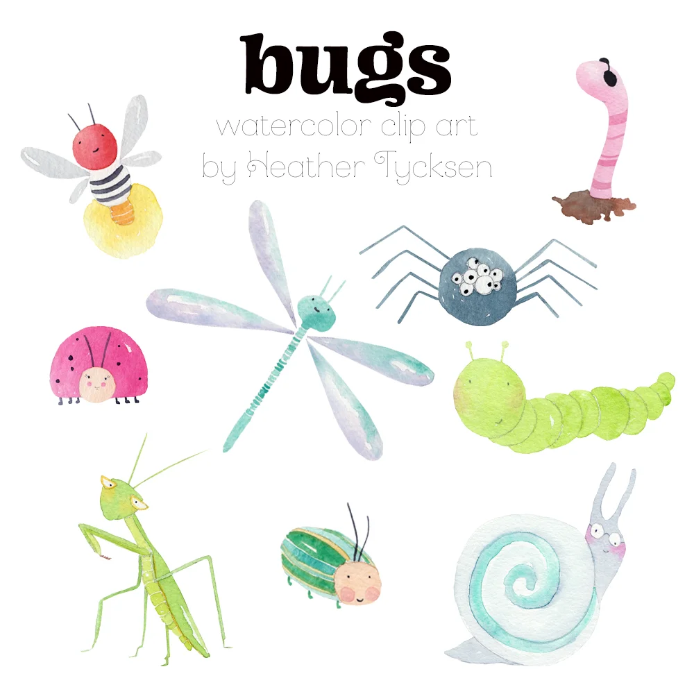 Digital clip art featuring cute bugs! Praying mantis, snail, caterpillar, beetle, dragonfly, spider, ladybug, firefly and earthworm.