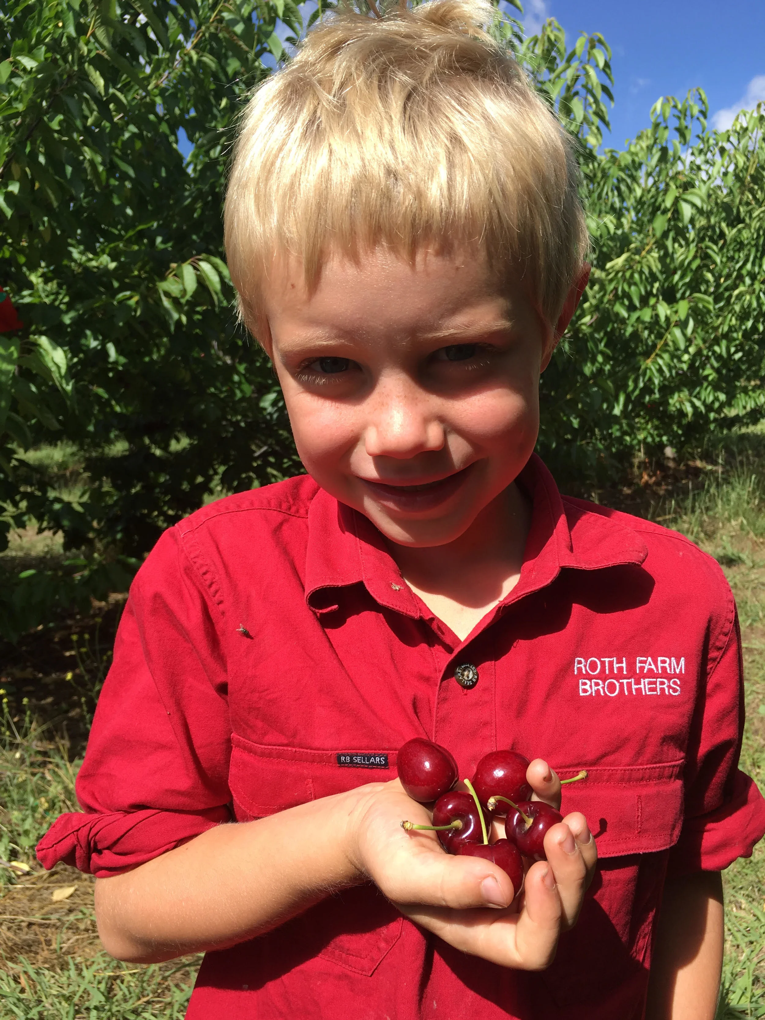 Roth Family Orchard, Mudgee — Visit My Farm
