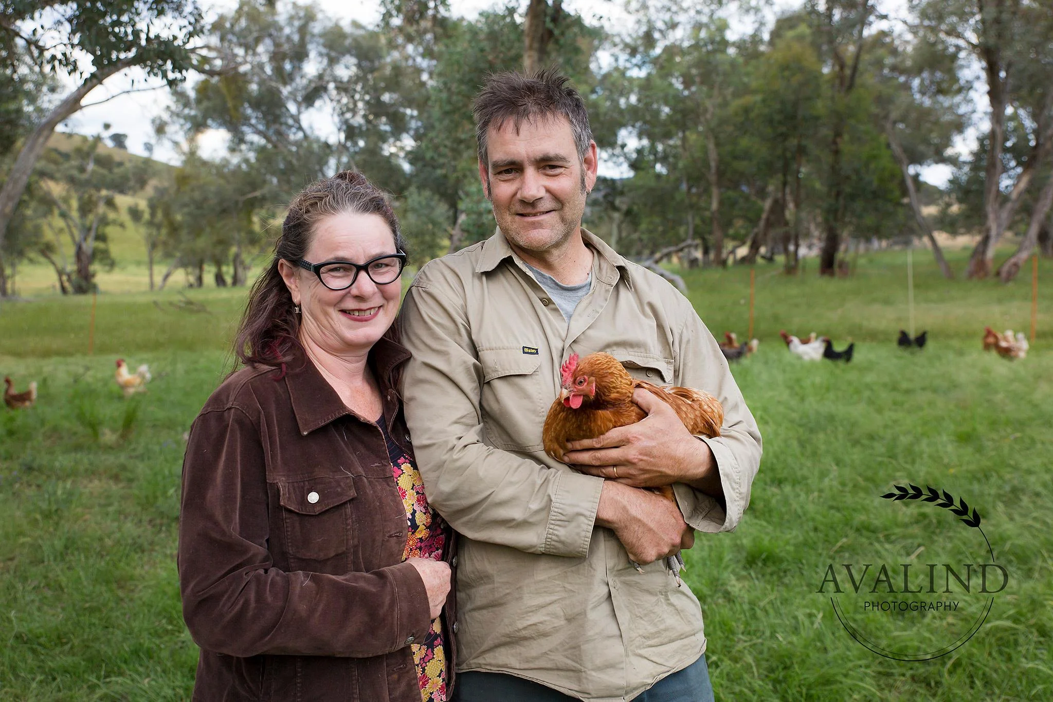 highfield farm picture.jpg
