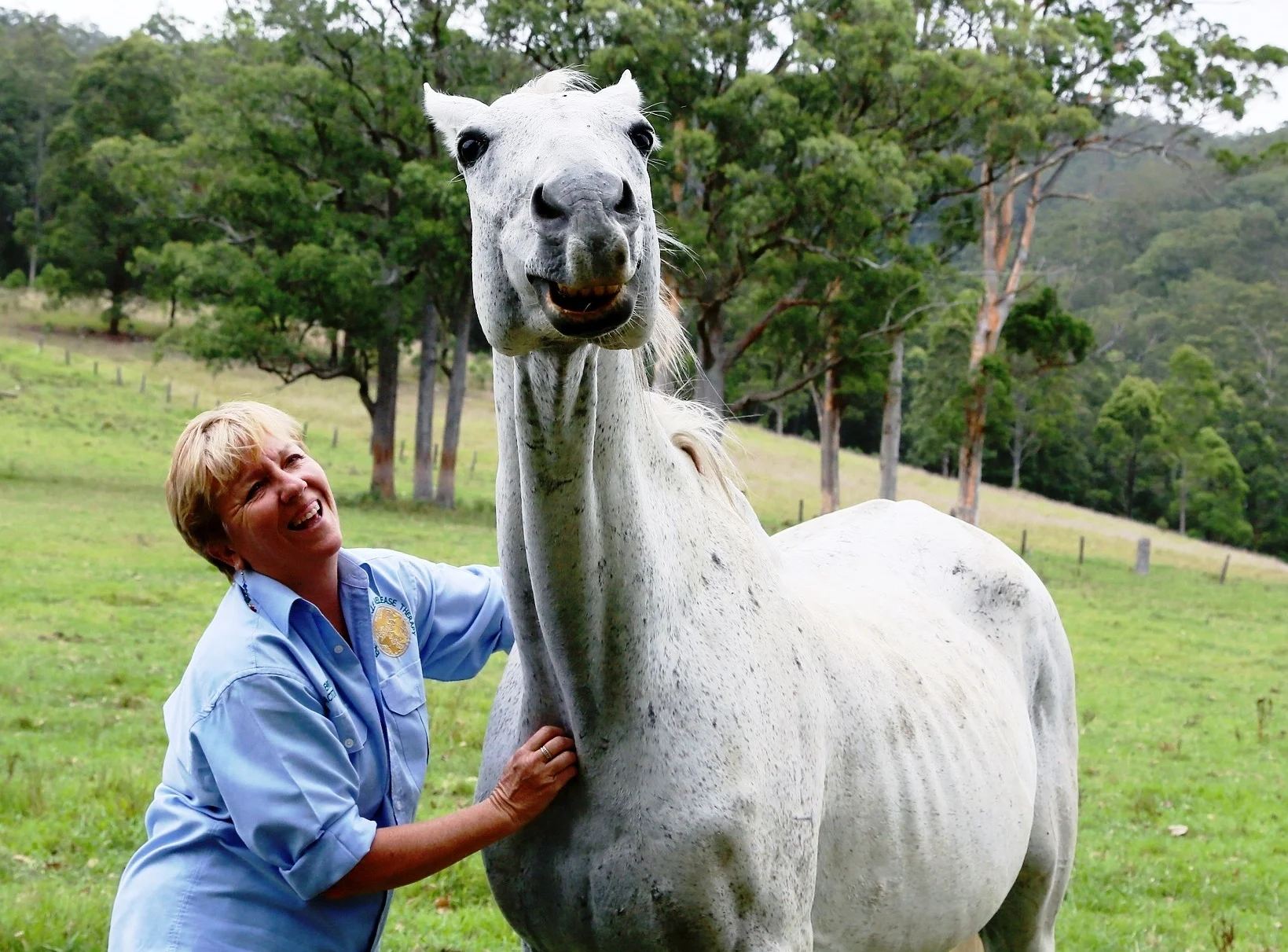 Visit My Farm Australia - Maggies Farm Wellness & Educational Sanctuary, Warranulla NSW