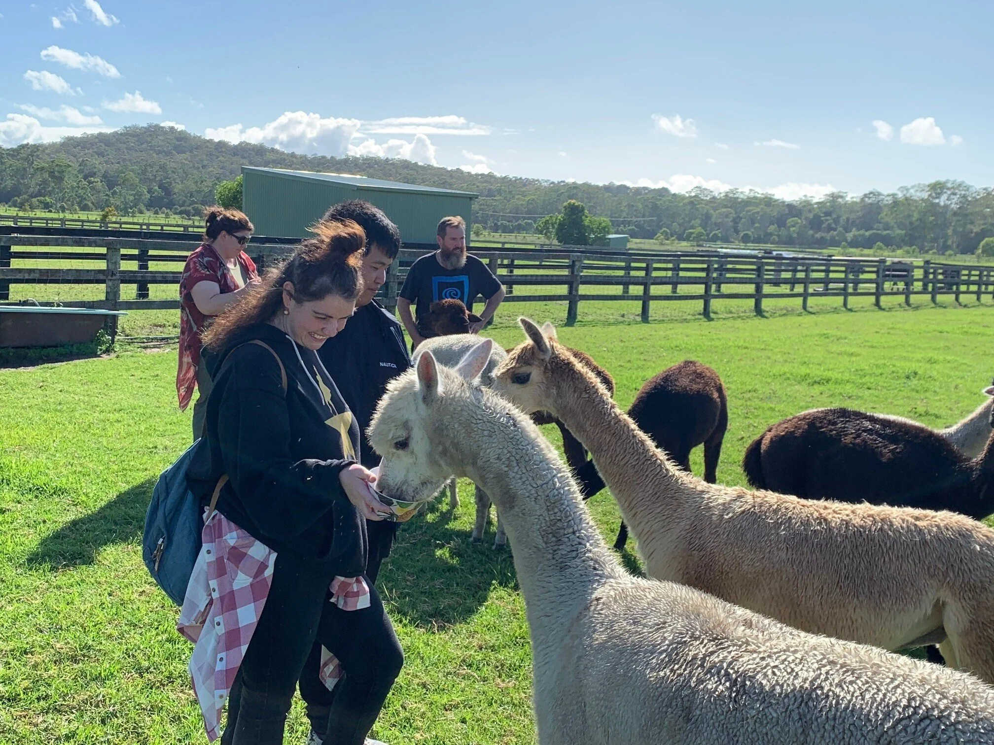 Iris Lodge Alpacas, Jilliby — Visit My Farm