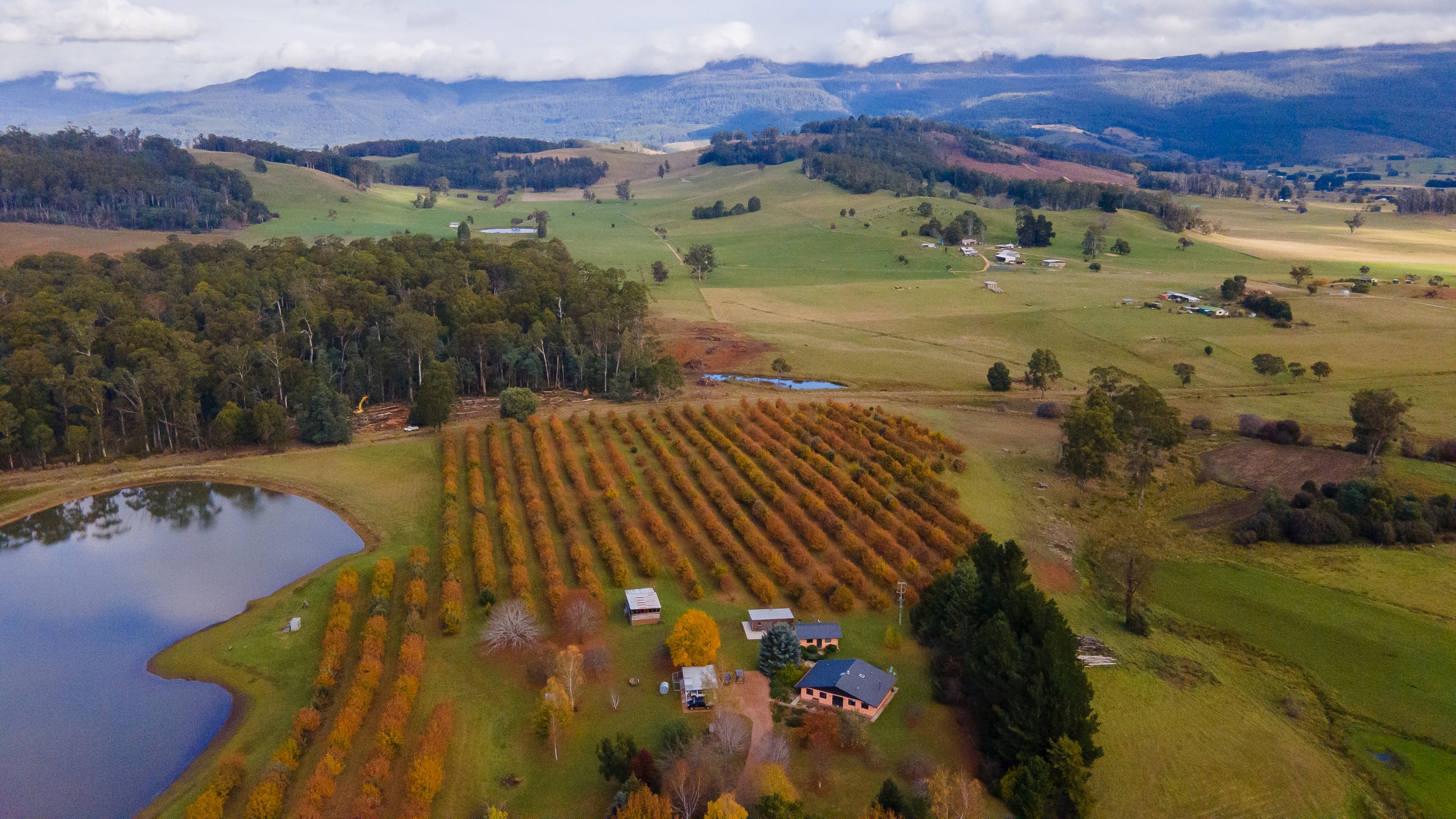 Blackwood Park Cottages - Aerials.jpg