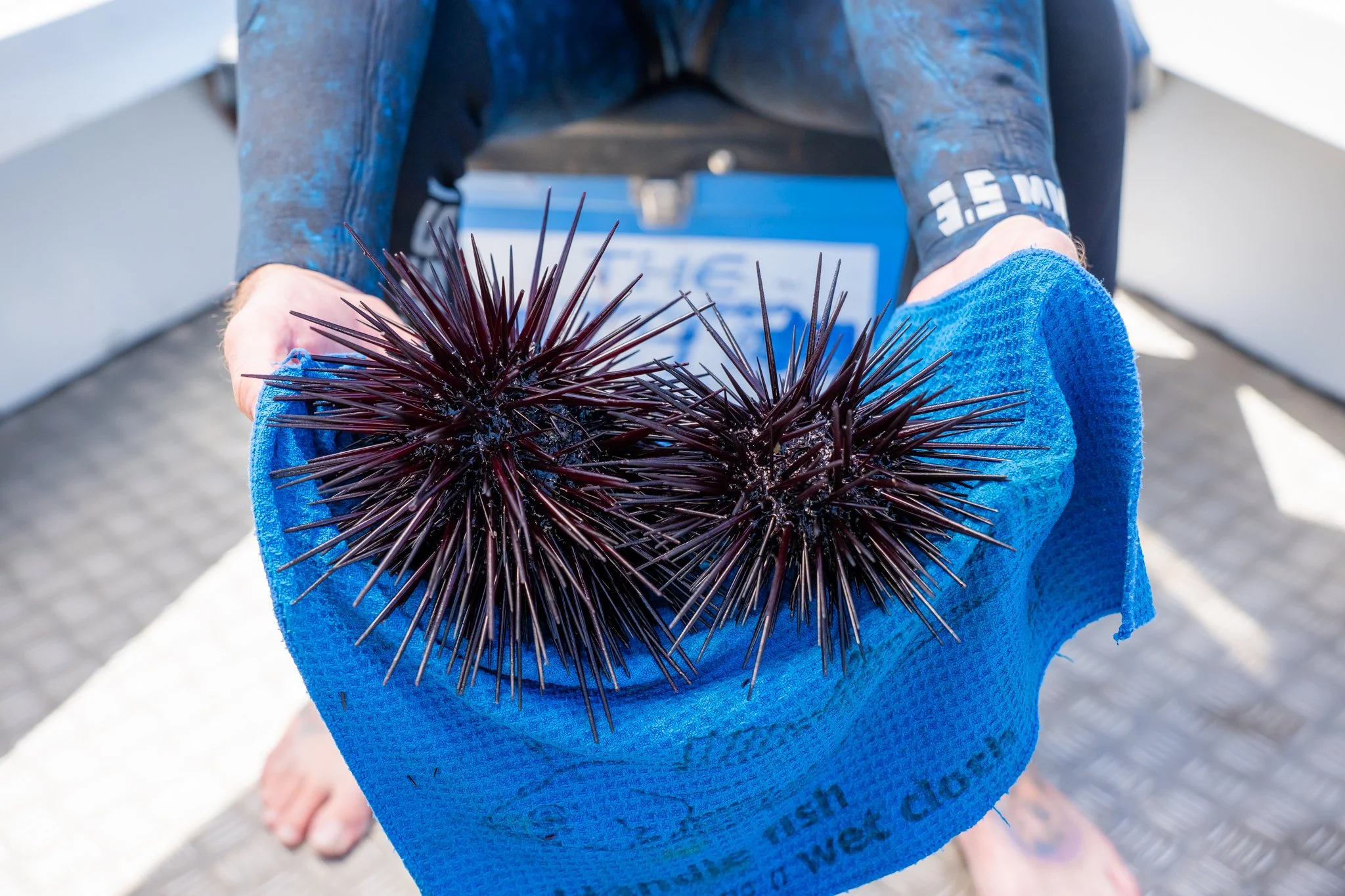 NRE - DAY 1 - PROCESSED - LQ-51.jpg