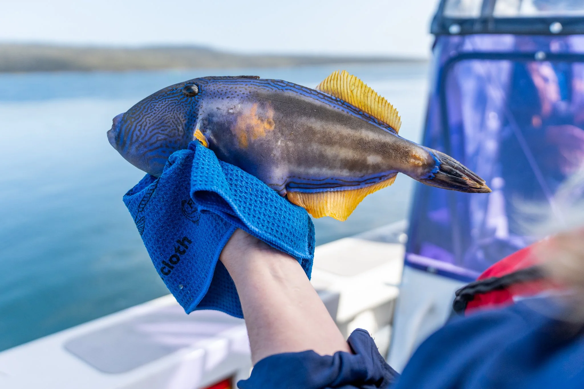 NRE - DAY 1 - PROCESSED - LQ-2.jpg