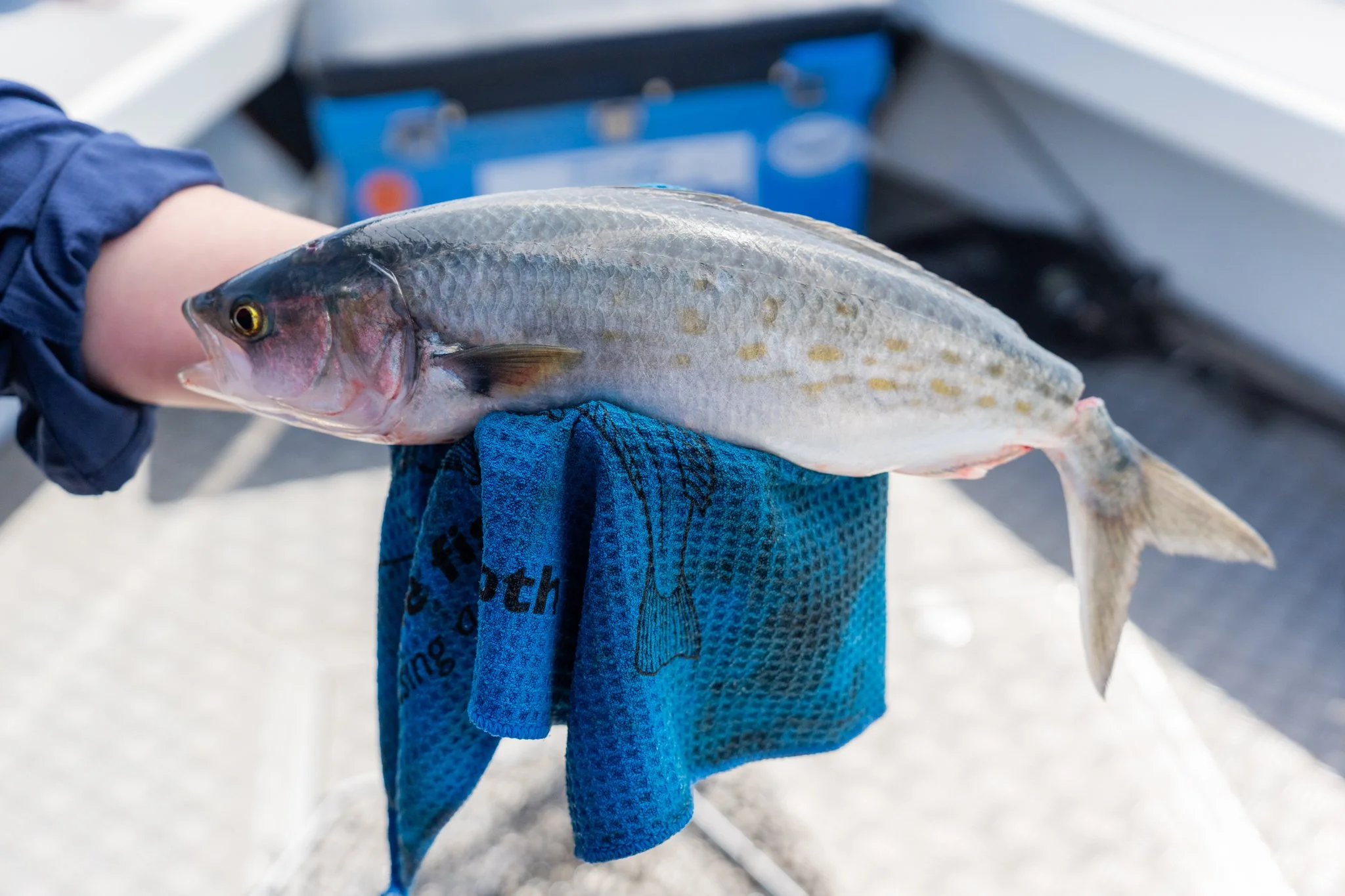 NRE - DAY 1 - PROCESSED - LQ-21.jpg