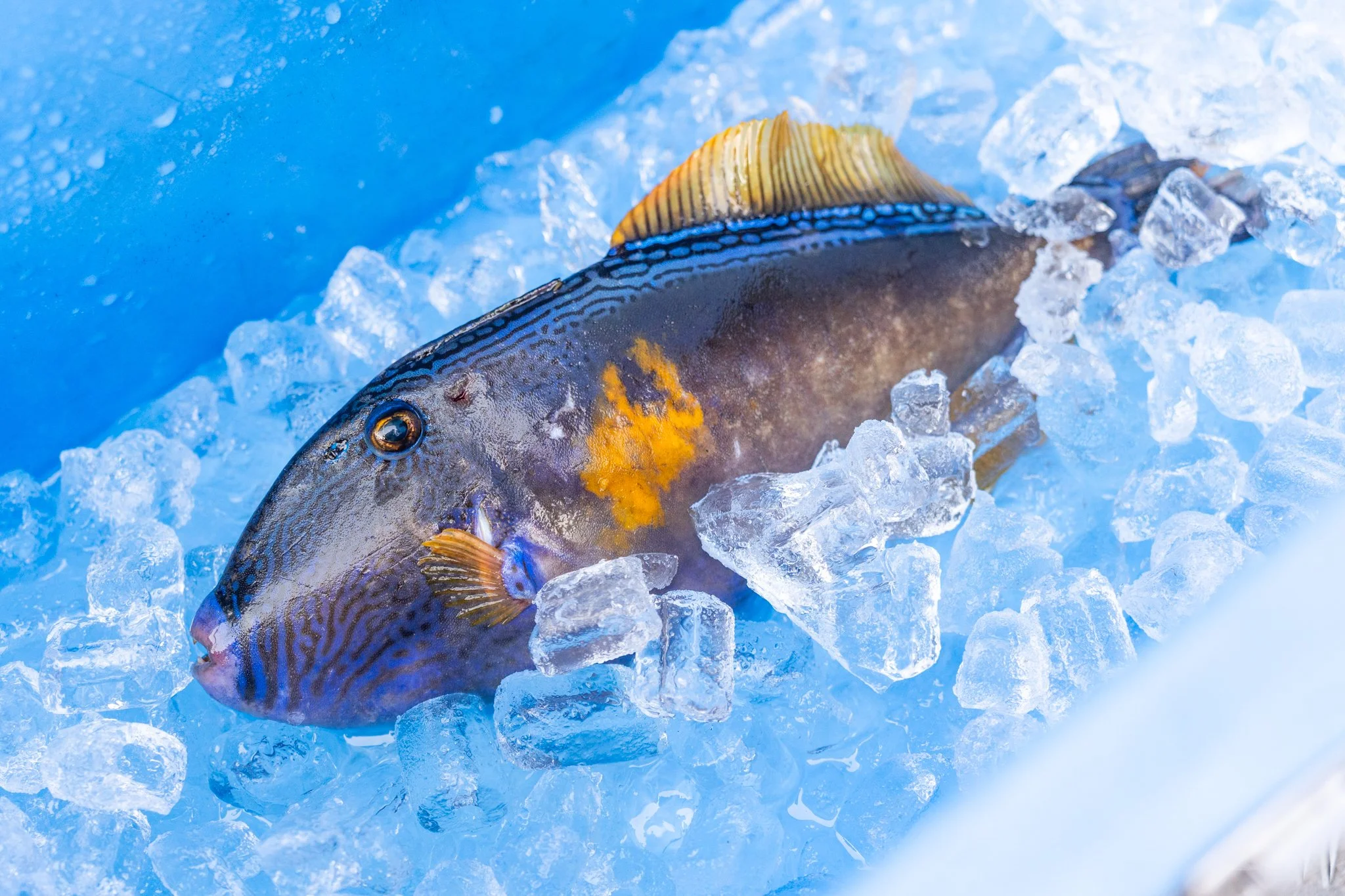 NRE - DAY 1 - PROCESSED - LQ-8.jpg