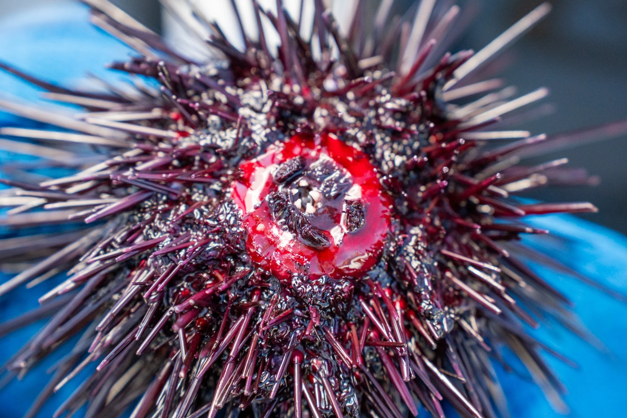 NRE - DAY 1 - PROCESSED - LQ-57.jpg