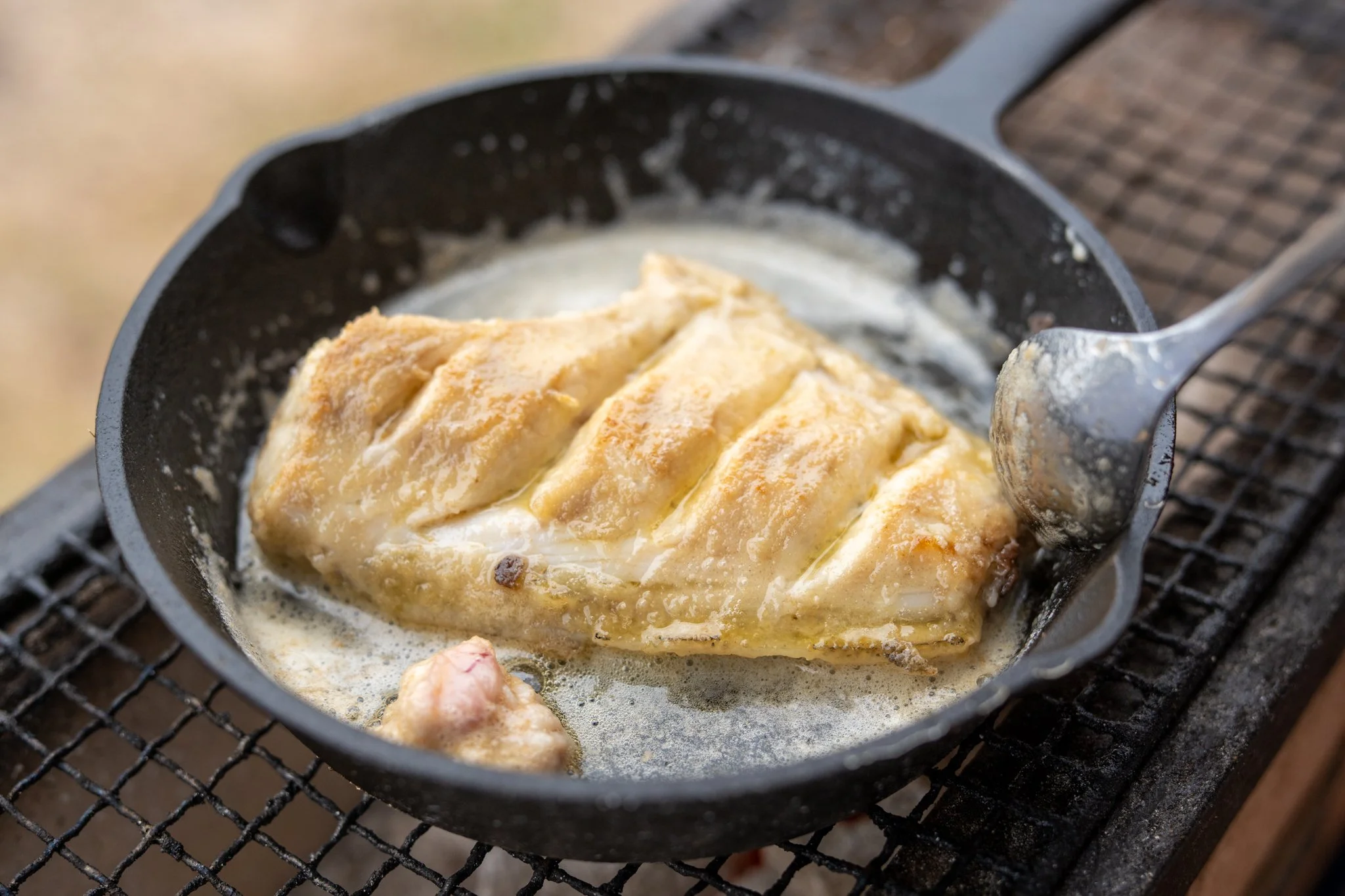 MIXED BAG FISHING & COOKING - LQ WEB-92.jpg