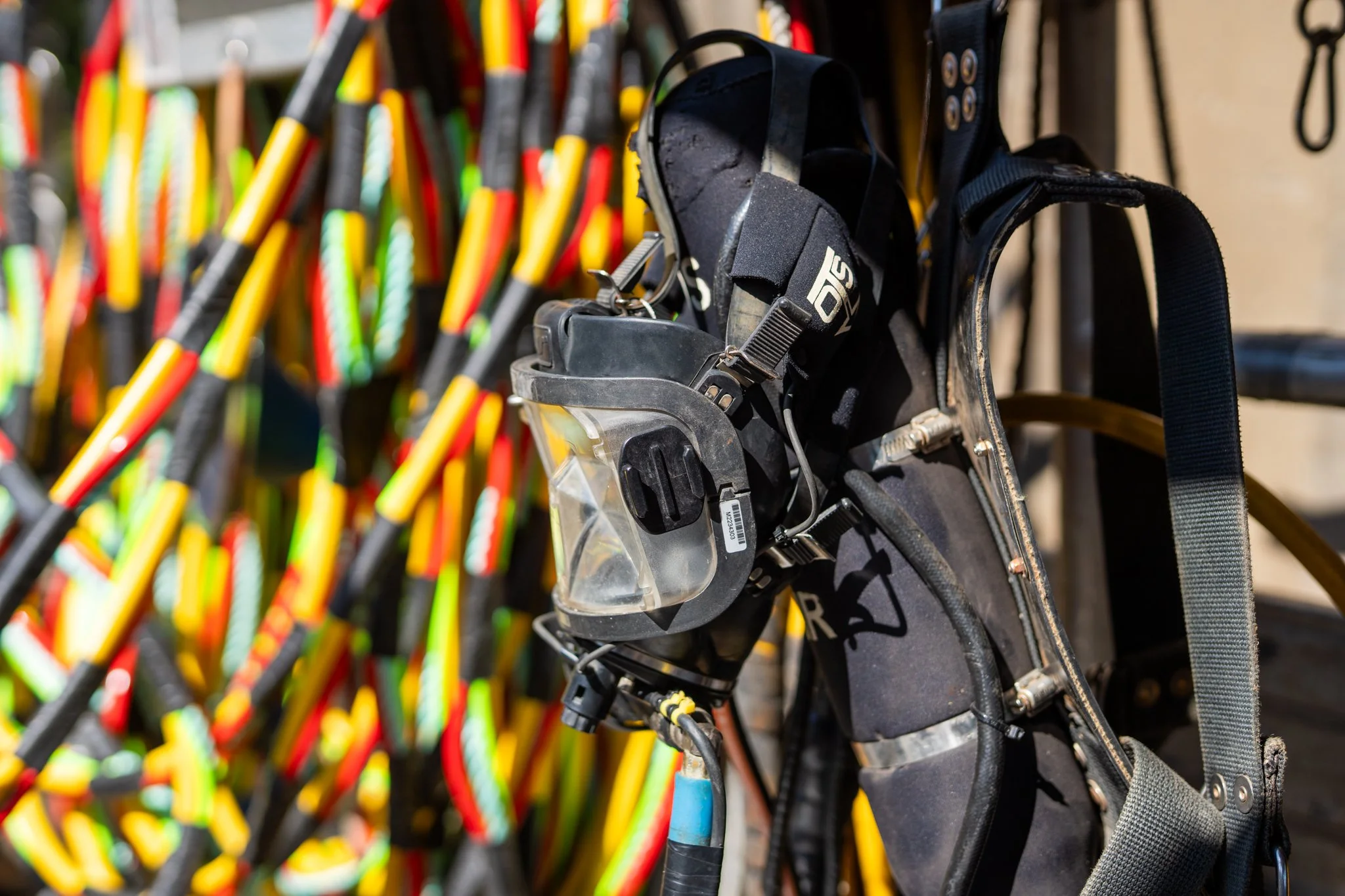 CDS - General Branding & Website Stills - LQ WEB-13.jpg