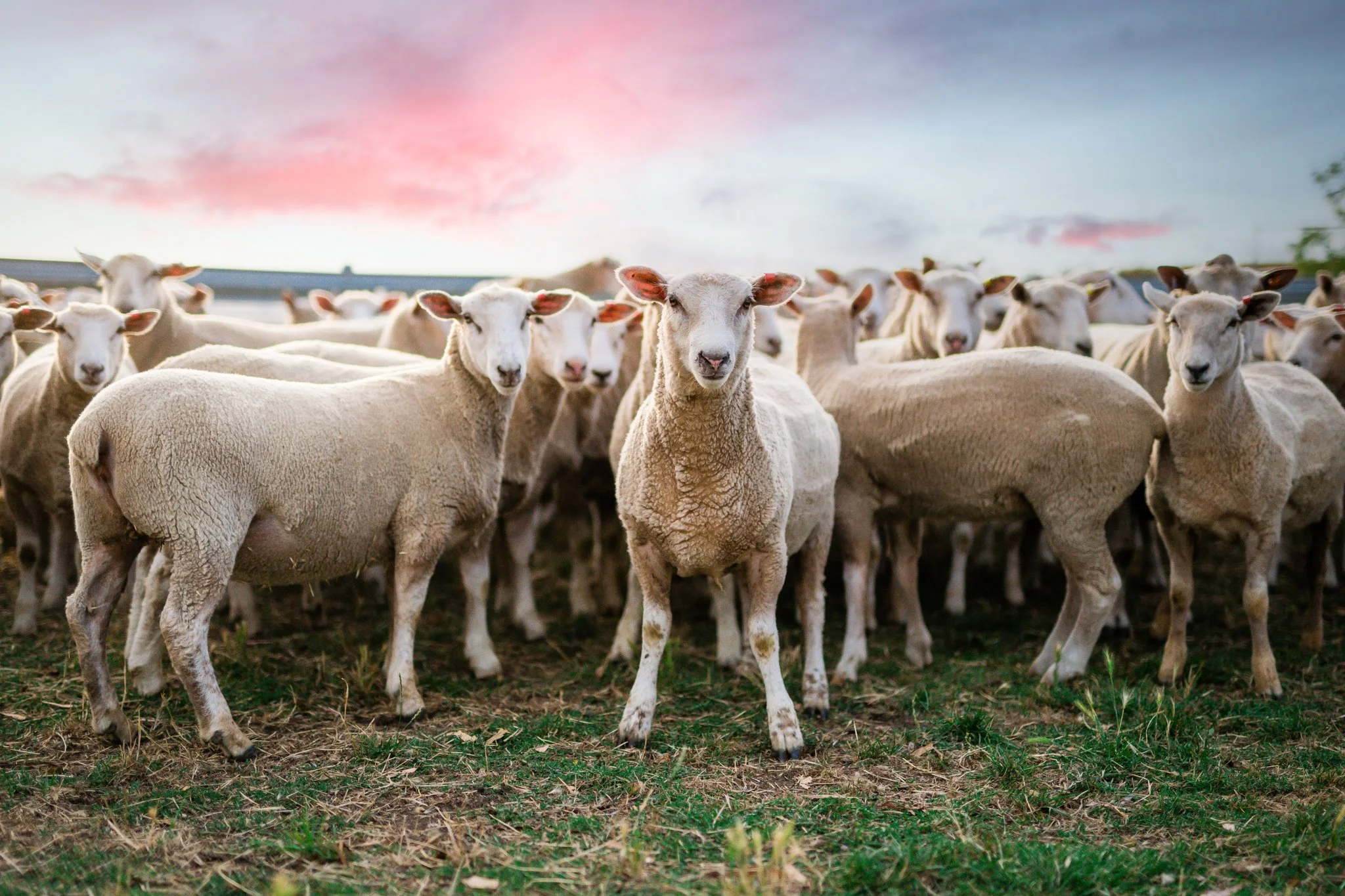 MUDBAR FARM 15 FEB 23--2.jpg