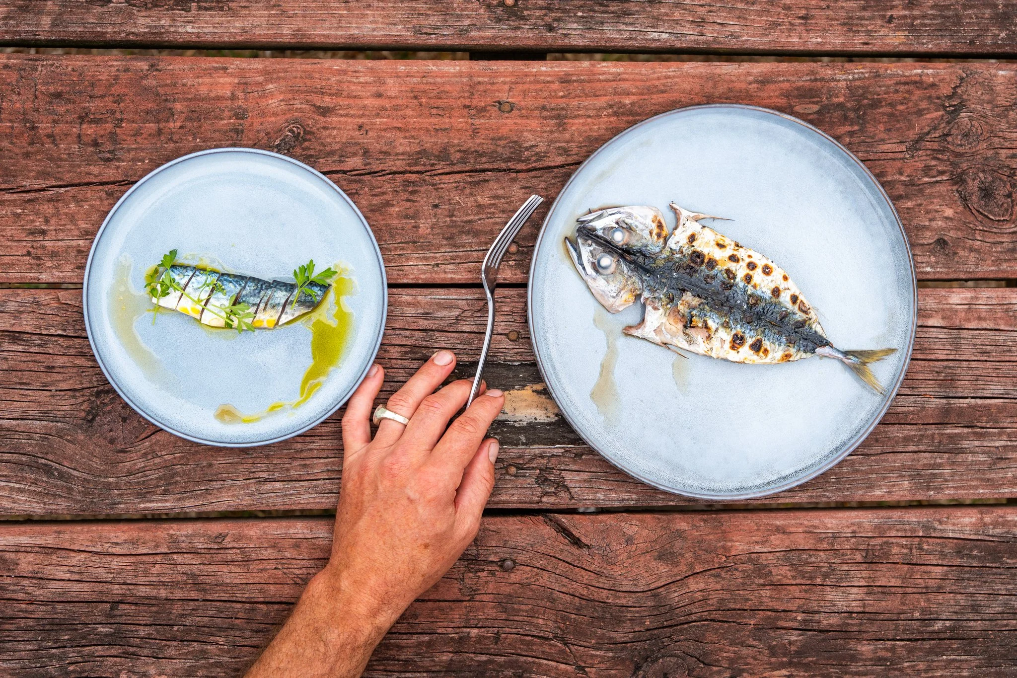 MIXED BAG FISHING & COOKING - LQ WEB-70.jpg