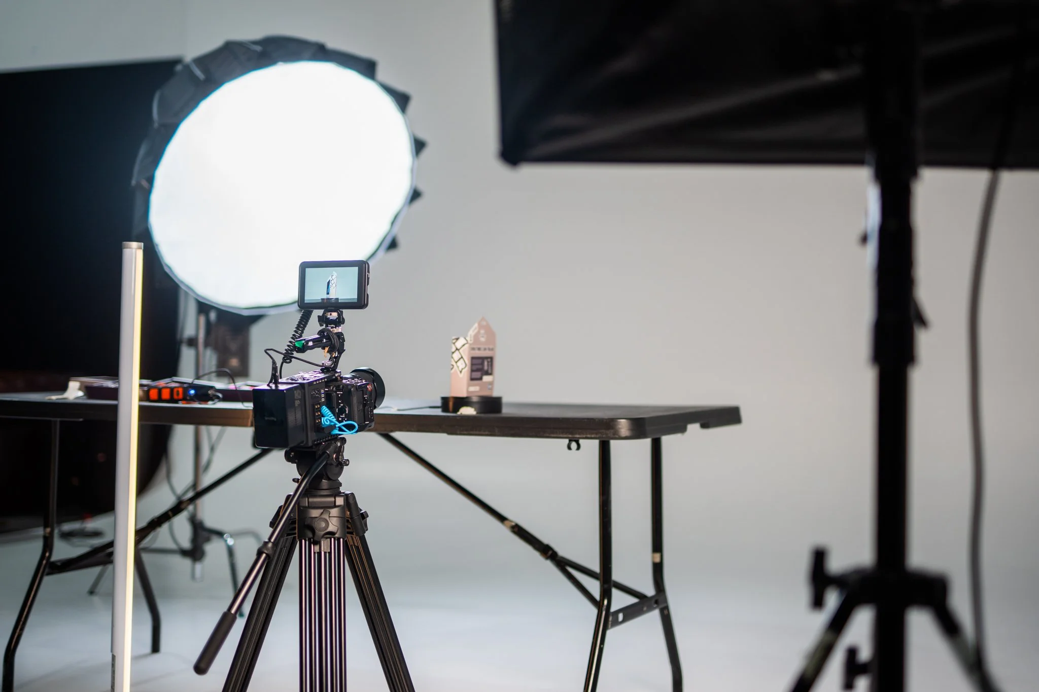 tim whybrow bts frank x_.jpg