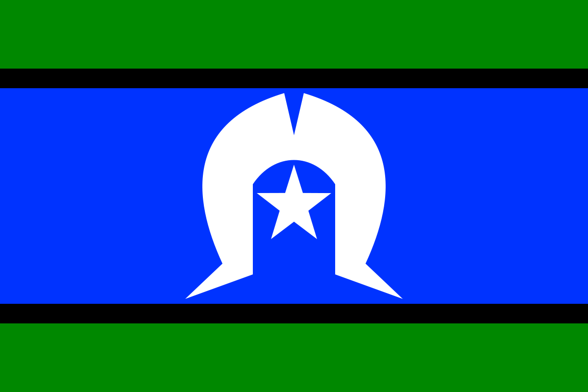 tsi flag.png