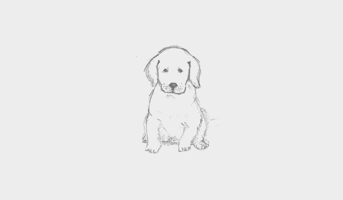 Pup-animate-2.gif