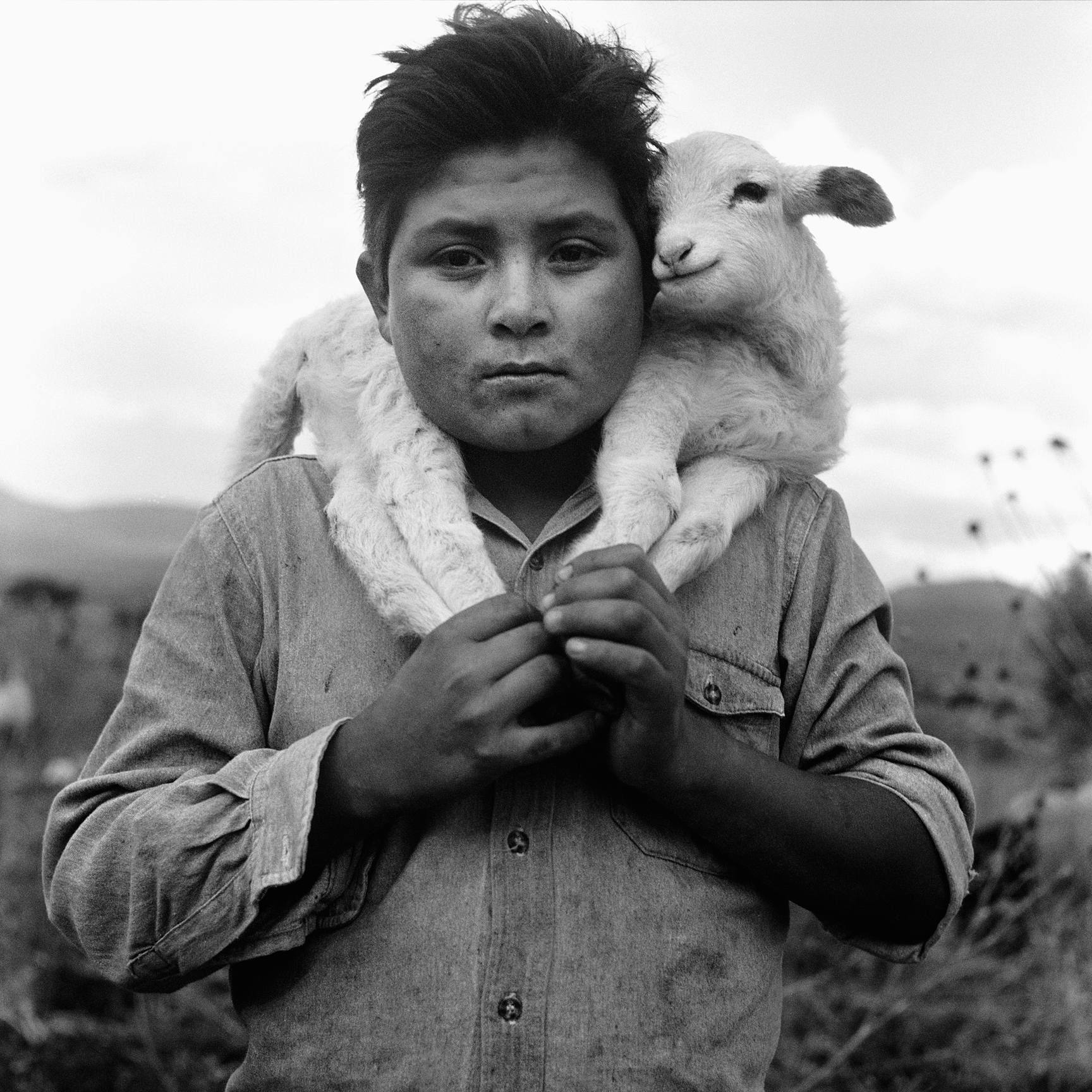 Shepherd/Mexico
