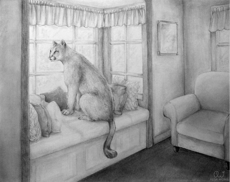 awong_eastern-cougar_1.jpg