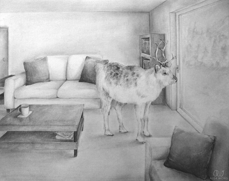 awong_peary-caribou_1.jpg