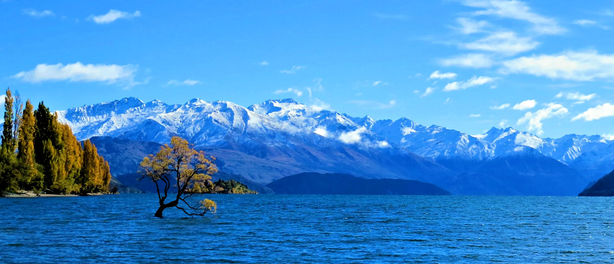 wanaka 2.jpg
