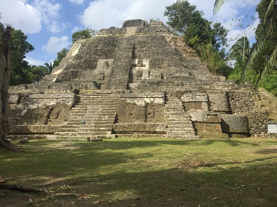 pic5.jpg