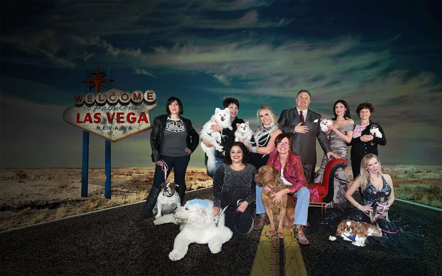 DOG RESCUE LAS VEGAS web.png