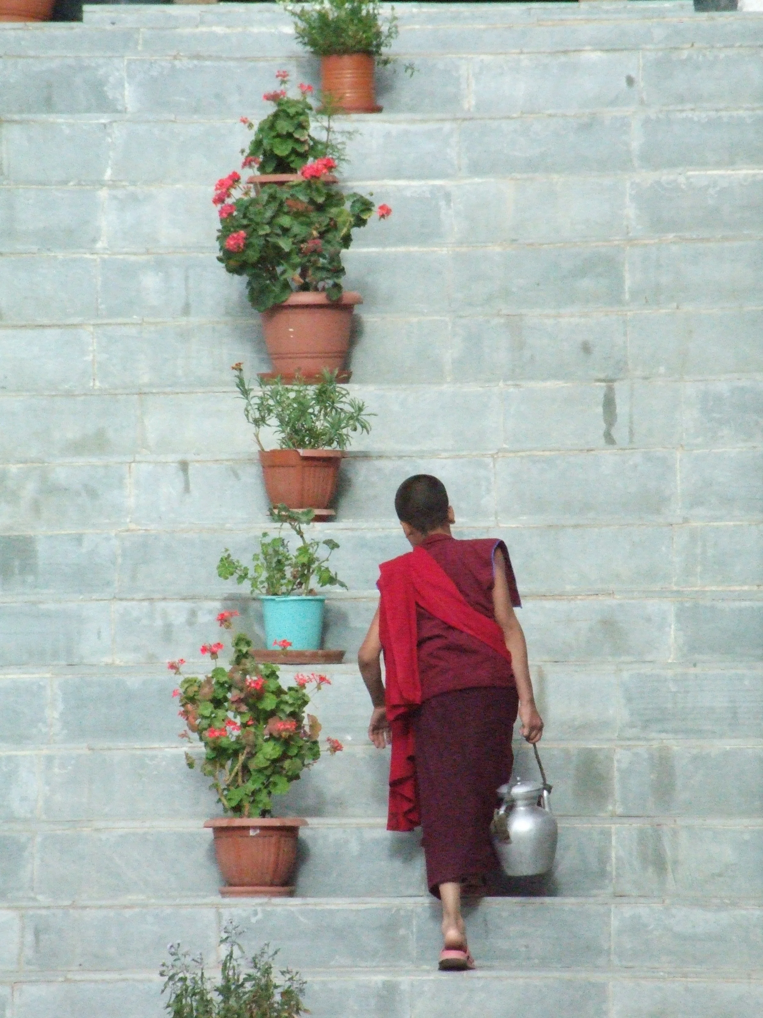 Monk on stairs.JPG