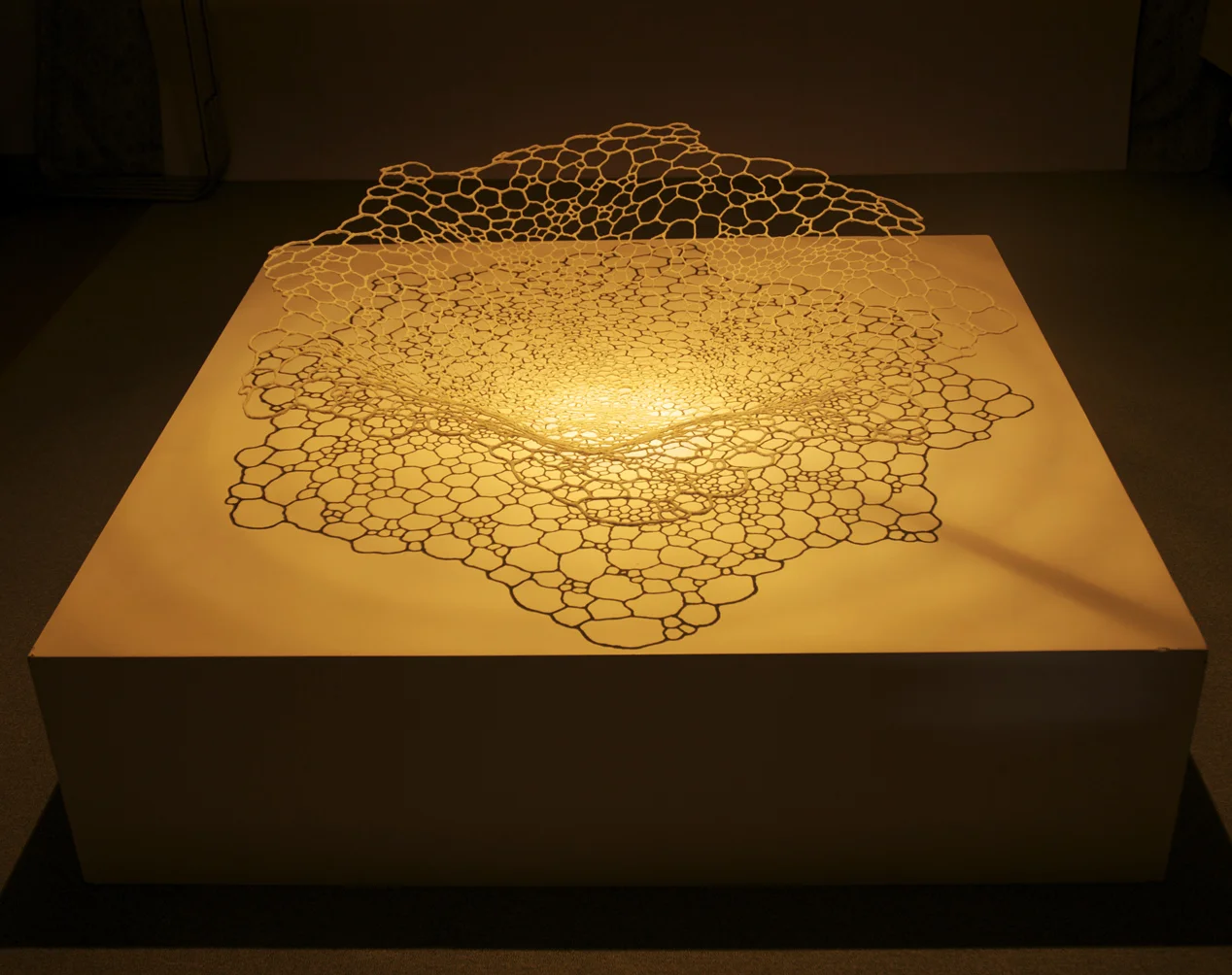 crystallized flower.jpg